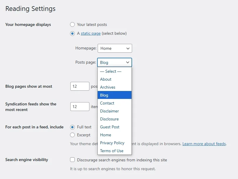 Custom Homepage and Post Page